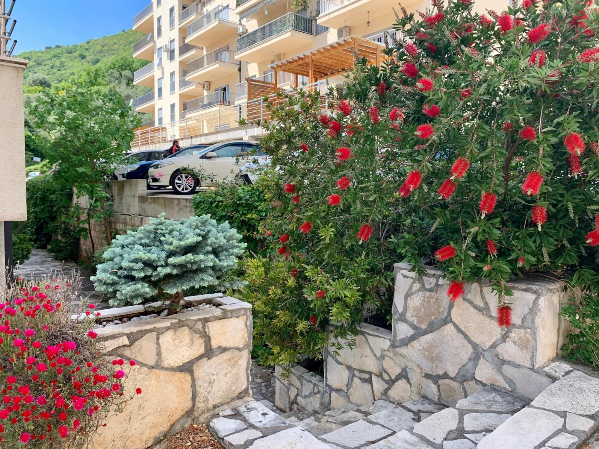 Best View Apartment Petrovac Extérieur photo